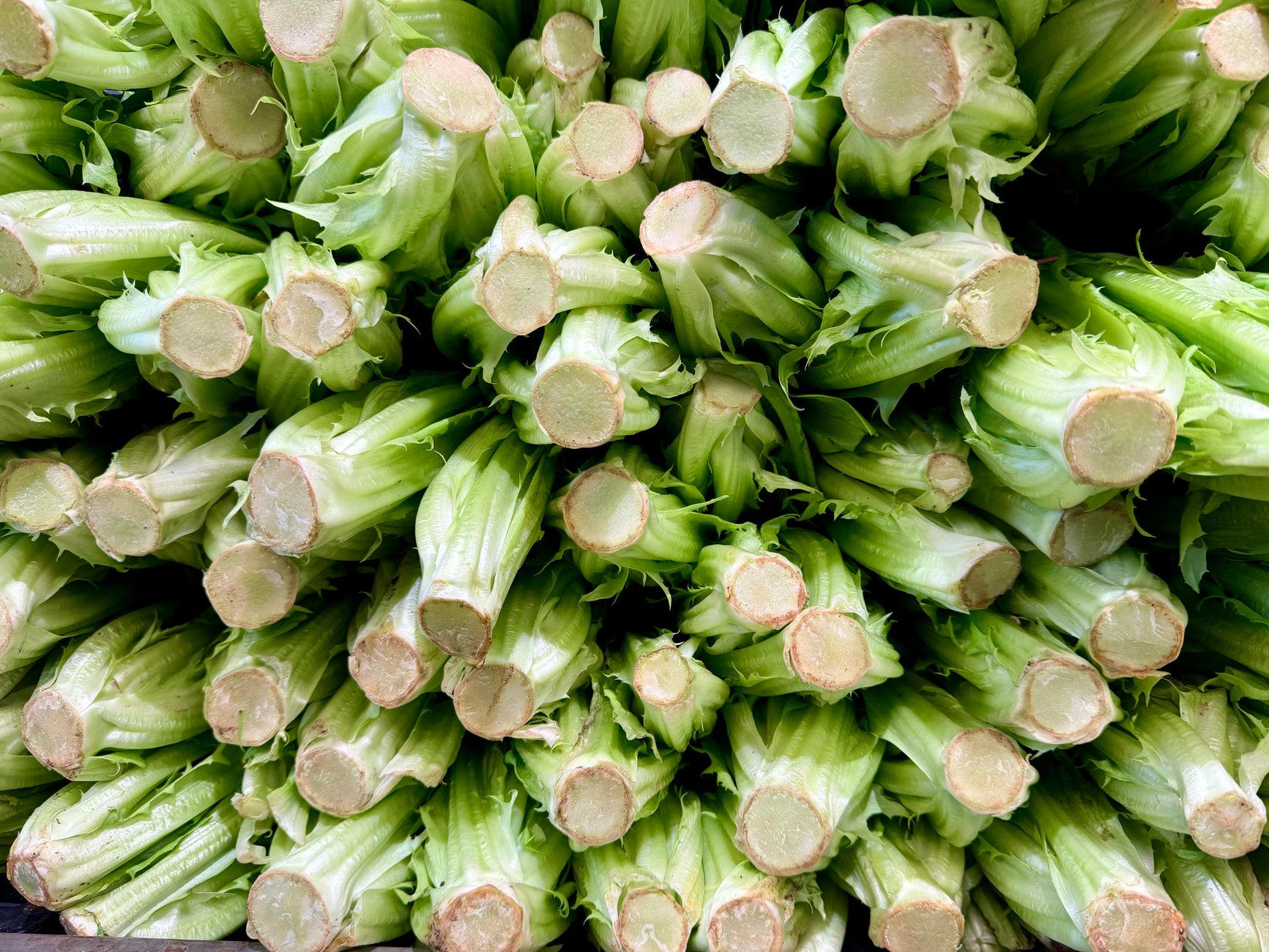 Global Inulin Market 2021–2031: Size, Share, Trends and Forecast — report cover
