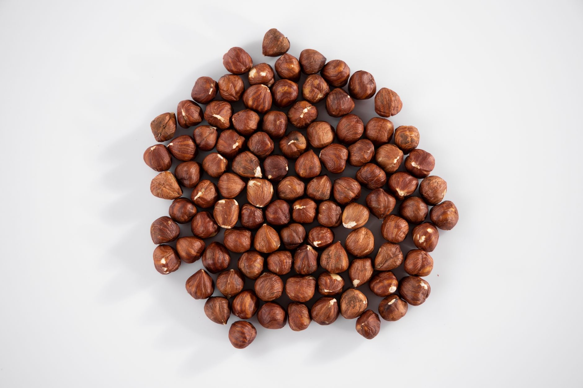 Global Hazelnut Market 2021–2031: Size, Share, Trends and Forecast — report cover