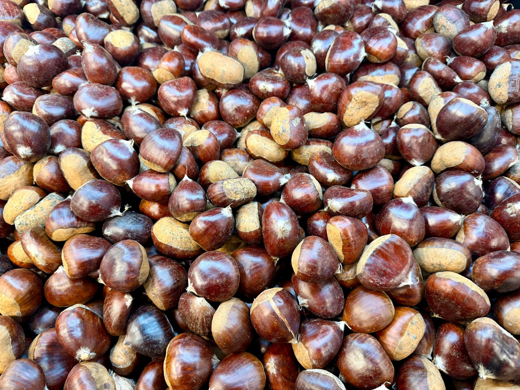 Global Chestnut Market 2021–2031: Size, Share, Trends and Forecast — report cover