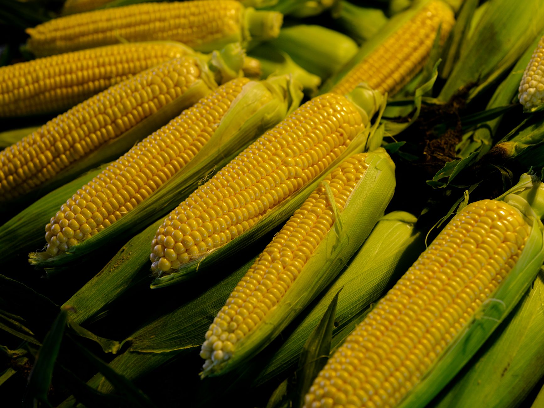 Global Frozen Sweet Corn Market 2021–2031: Size, Share, Trends and Forecast — report cover