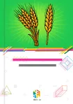 Marché du blé et méteil en Afrique