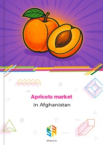 Apricots market in Afghanistan