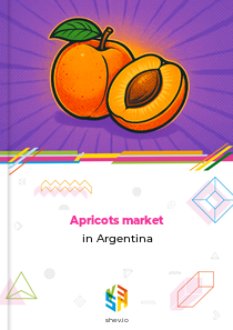 Apricots market in Argentina