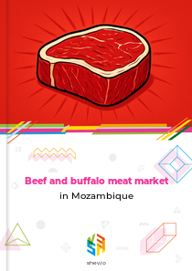 Beef and buffalo meat market in Mozambique
