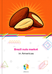 Brazil nuts market in Americas
