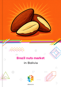 Brazil nuts market in Bolivia