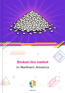 Broken rice market in Northern America