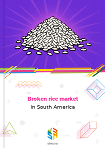 Broken rice market in South America