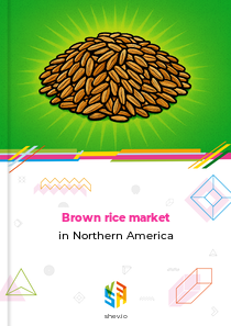 Brown rice market in Northern America