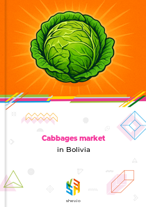 Cabbages market in Bolivia