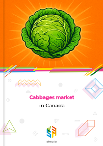 Cabbages market in Canada