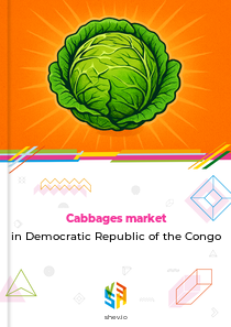 Cabbages market in Democratic Republic of the Congo