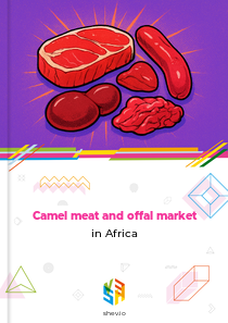 Camel meat and offal market in Africa