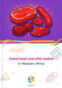 Camel meat and offal market in Western Africa