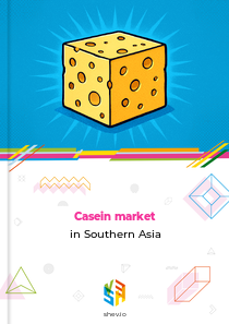 Casein market in Southern Asia