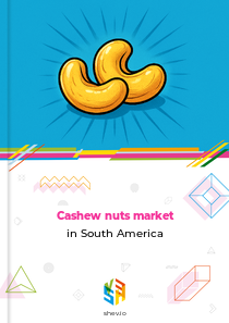 Cashew nuts market in South America