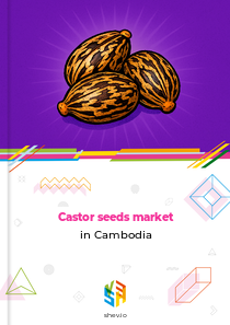 Castor seeds market in Cambodia