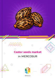 Castor seeds market in MERCOSUR