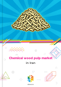 Chemical wood pulp market in Iran