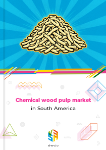 Chemical wood pulp market in South America