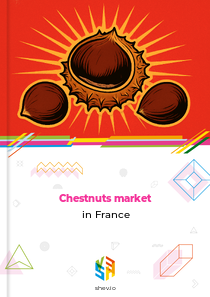 Chestnuts market in France