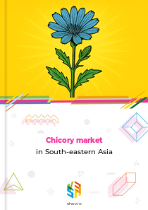 Chicory market in South-eastern Asia