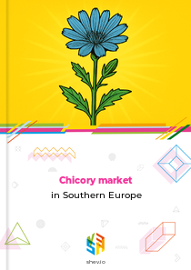Chicory market in Southern Europe