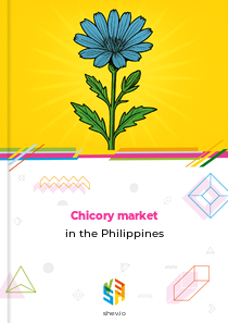 Chicory market in the Philippines