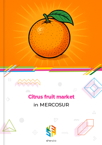 Citrus fruit market in MERCOSUR
