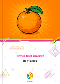 Citrus fruit market in Mexico