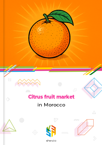 Citrus fruit market in Morocco