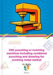 CNC punching or notching machines including combined punching and shearing for working metal market in Italy