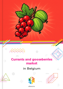 Currants and gooseberries market in Belgium