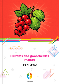 Currants and gooseberries market in France