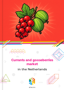 Currants and gooseberries market in the Netherlands