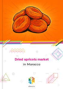 Dried apricots market in Morocco