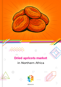 Dried apricots market in Northern Africa