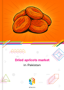 Dried apricots market in Pakistan