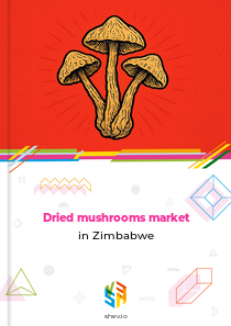 Dried mushrooms market in Zimbabwe