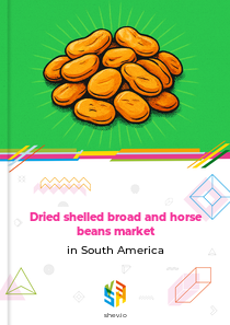 Dried shelled broad and horse beans market in South America