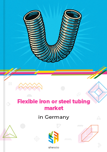 Flexible iron or steel tubing market in Germany