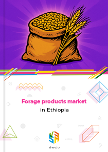 Forage products market in Ethiopia