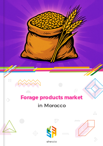 Forage products market in Morocco