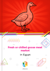 Fresh or chilled goose meat market in Egypt