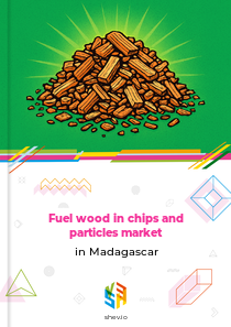 Fuel wood in chips and particles market in Madagascar
