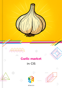 Garlic market in CIS