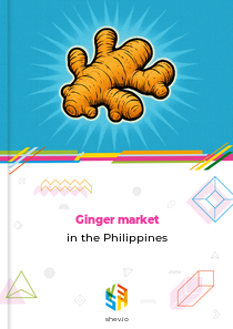 Ginger market in the Philippines