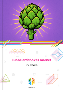 Globe artichokes market in Chile