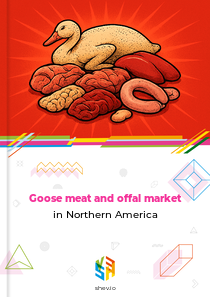 Goose meat and offal market in Northern America