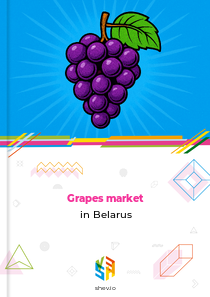 Grapes market in Belarus